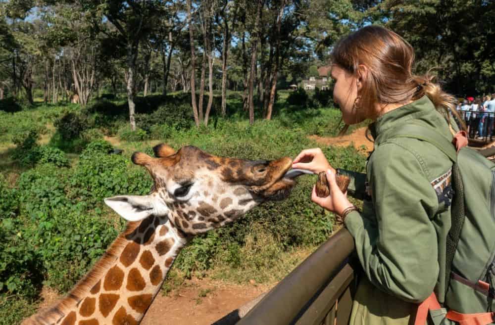 The Role of Women in Wildlife Conservation